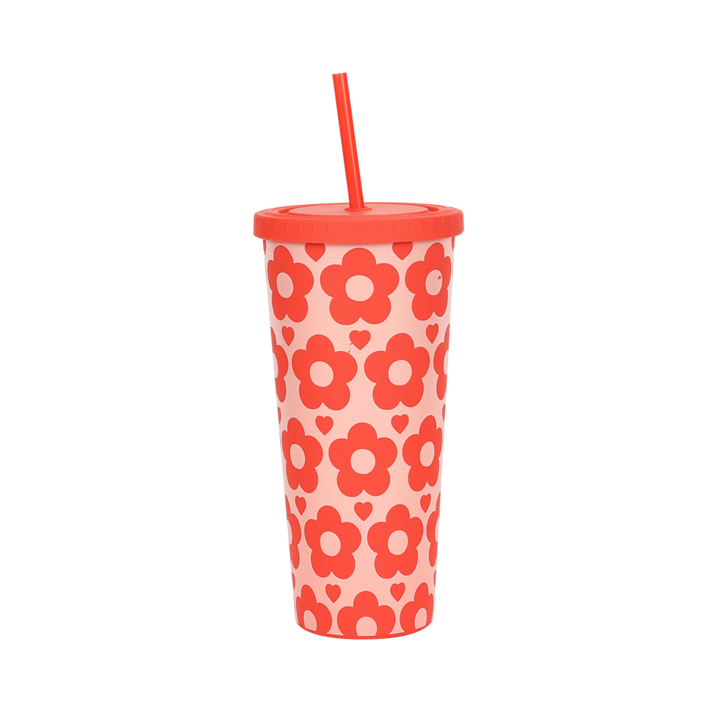 Double straw cup