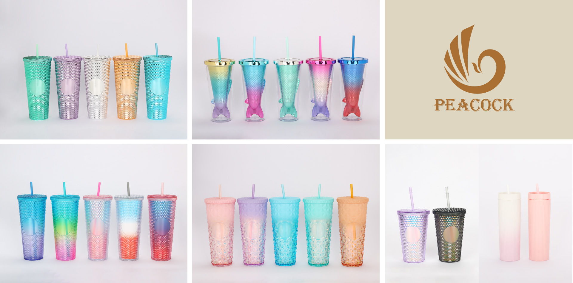 PT. Peacock Electric Indonesia